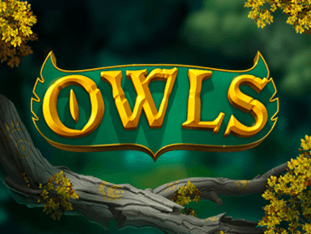 Owls game cover